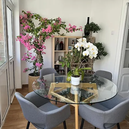 Apartmán Cozy With 3 Bedrooms And Living Close To The Center Lisboa